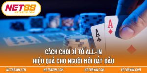 Cách Chơi Xì Tố All-In