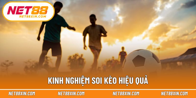 Chia sẻ kinh nghiệm thực tế từ người tham gia lâu năm