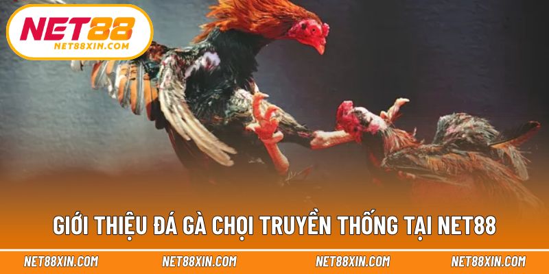 Khái quát hình thức truyền thống trong môi trường số