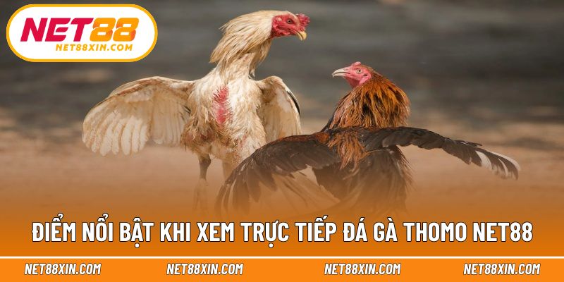 Ưu điểm nổi bật khi theo dõi trận đấu trực tuyến